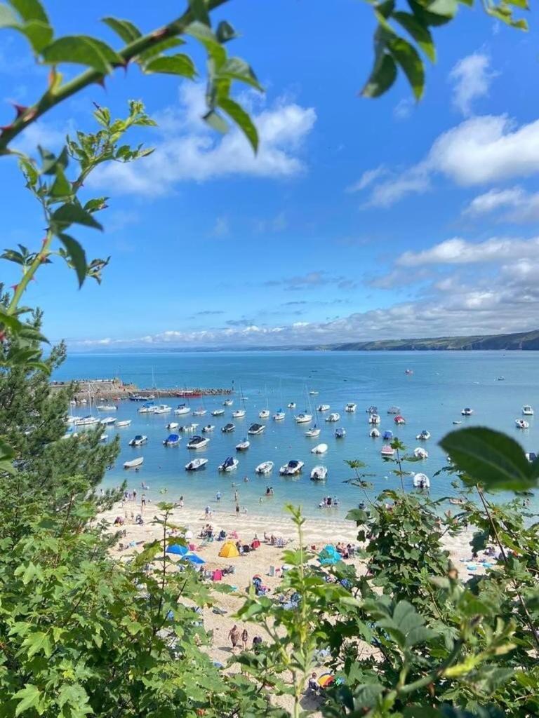 Ty Canol - Family Friendly Peaceful Holiday home New Quay (Ceredigion)